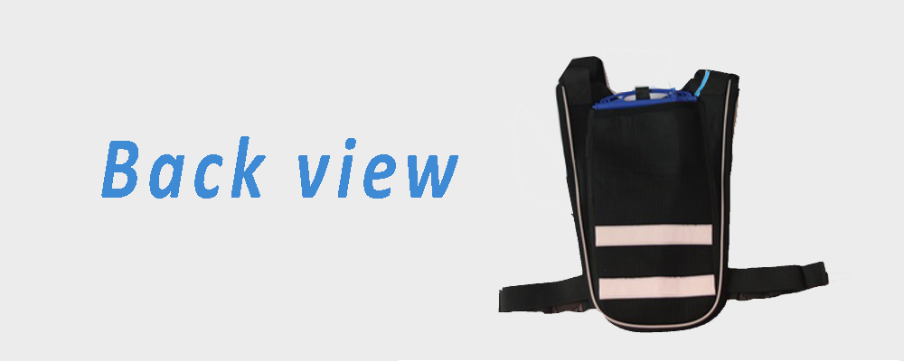 Back view